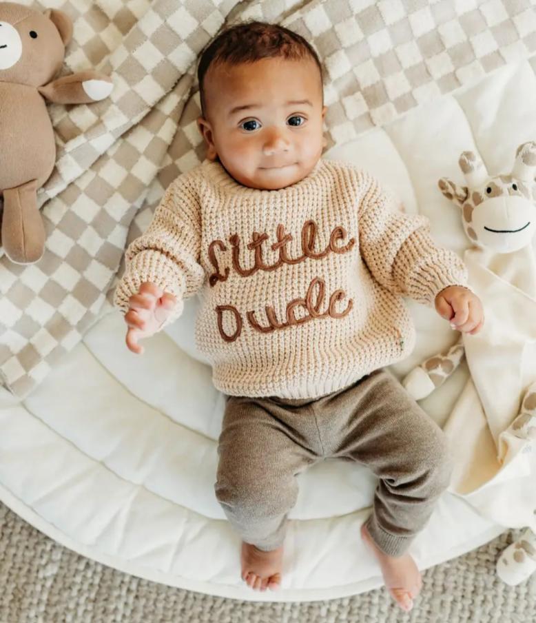 Baby Pullover - Little Dude