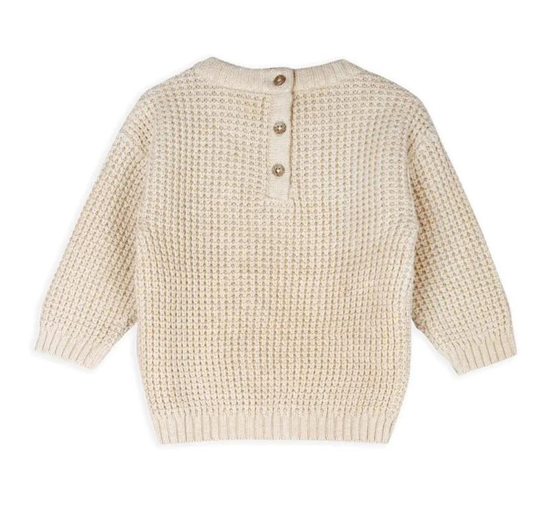 Baby Pullover - Little Dude