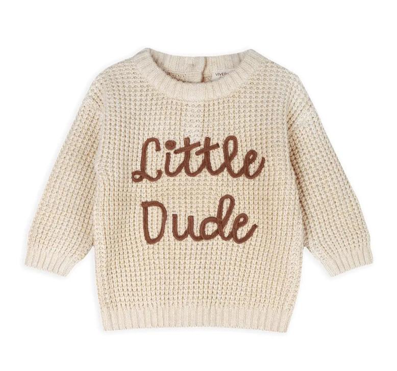 Baby Pullover - Little Dude